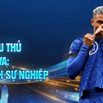 Tiểu sử cầu thủ Thiago silva: hành trình sự nghiệp xuất sắc